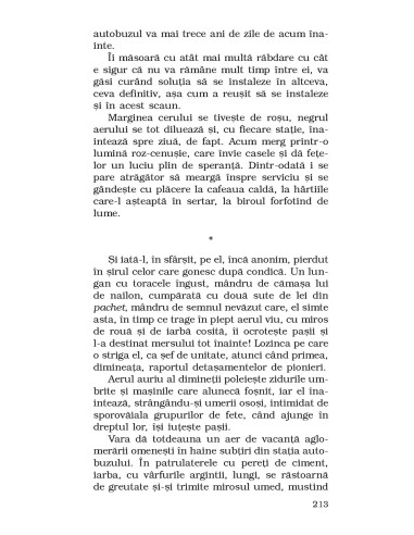 Provizorat Provizorat