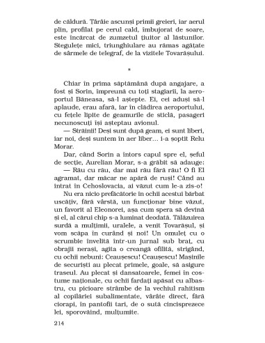 Provizorat Provizorat