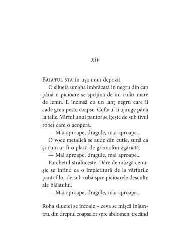 Mánasteinn. Băiatul care n-a existat...