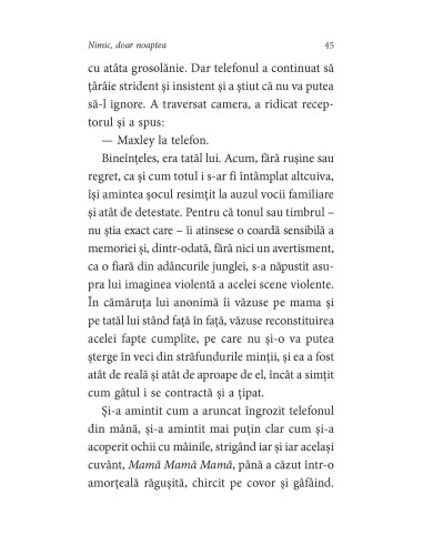 Nimic, doar noaptea Nimic, doar noaptea