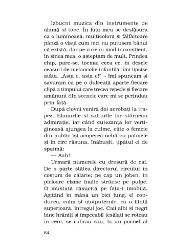 Povestiri din singurătate