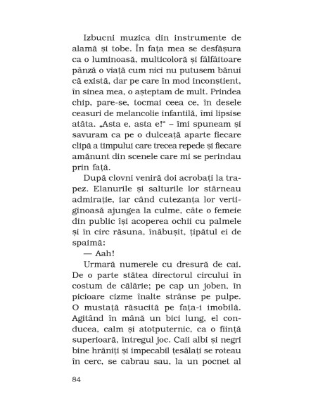 Povestiri din singurătate