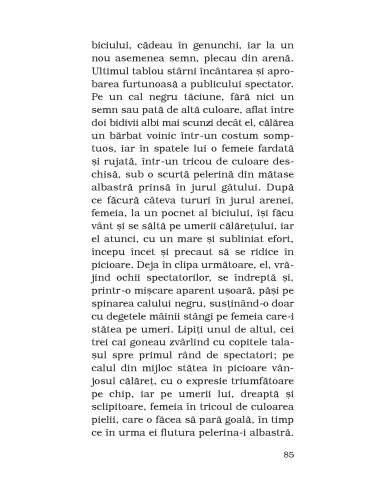 Povestiri din singurătate