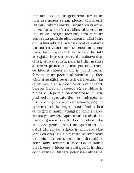 Povestiri din singurătate