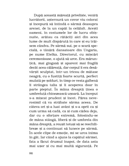 Povestiri din singurătate