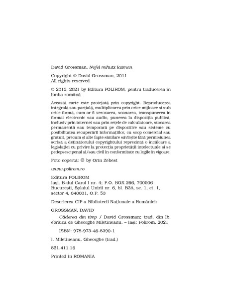 Căderea din timp. O poveste pe mai multe voci