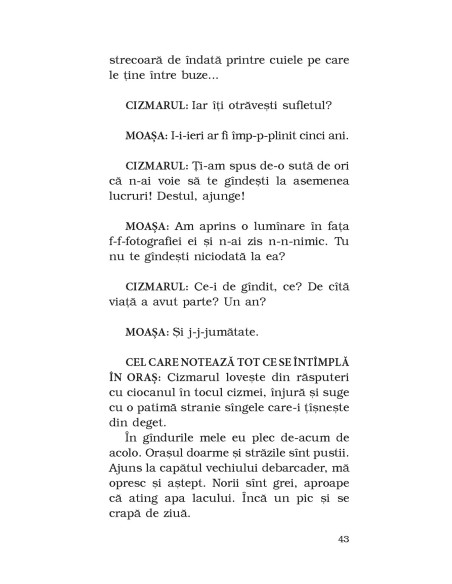 Căderea din timp. O poveste pe mai multe voci