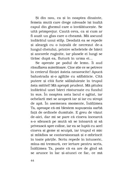 Căderea din timp. O poveste pe mai multe voci