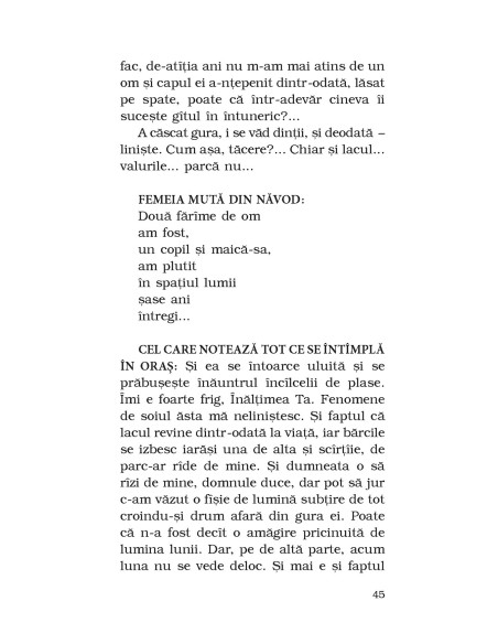 Căderea din timp. O poveste pe mai multe voci