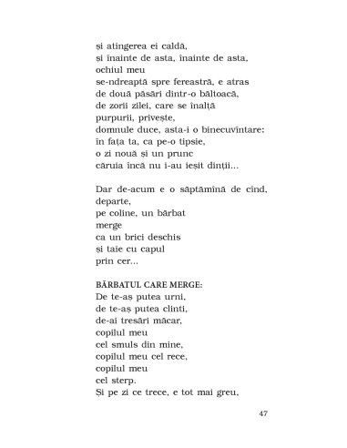 Căderea din timp. O poveste pe mai... Căderea din timp. O poveste pe mai...