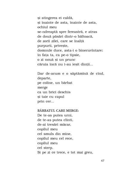 Căderea din timp. O poveste pe mai multe voci