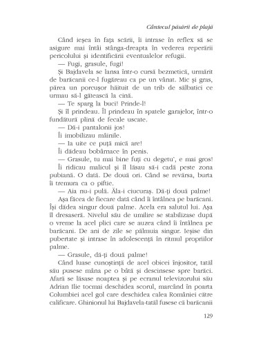 Cântecul păsării de plajă