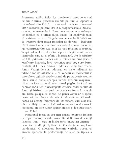 Cântecul păsării de plajă