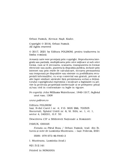 Femeia cu Părul Roșu