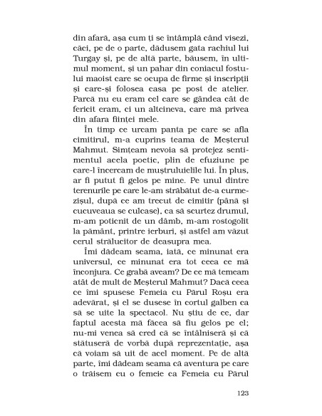 Femeia cu Părul Roșu