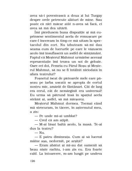 Femeia cu Părul Roșu