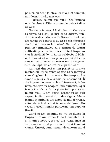 Femeia cu Părul Roșu