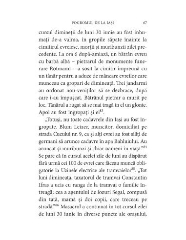 Pogromul de la Iaşi