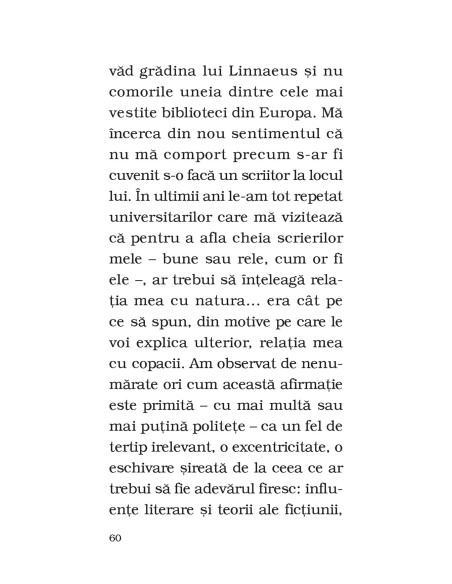 Copacul