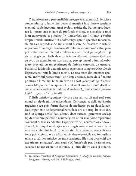 Frumuseţea va mîntui lumea şi alte eseuri