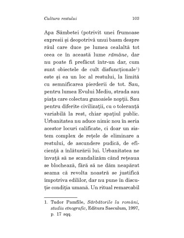 Restul ca problemă a filosofiei