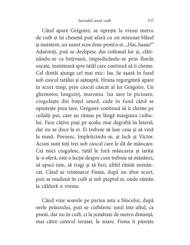 Pescăruşul de la geam