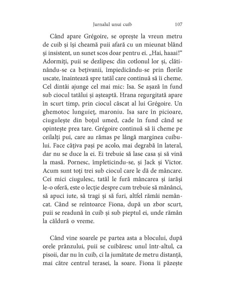 Pescăruşul de la geam