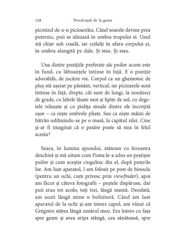 Pescăruşul de la geam