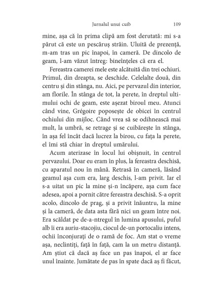 Pescăruşul de la geam