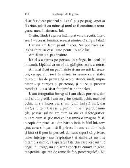 Pescăruşul de la geam