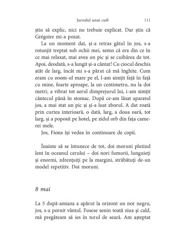 Pescăruşul de la geam