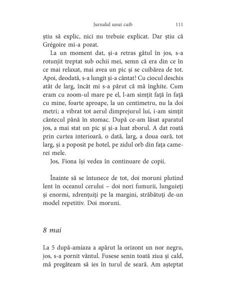 Pescăruşul de la geam