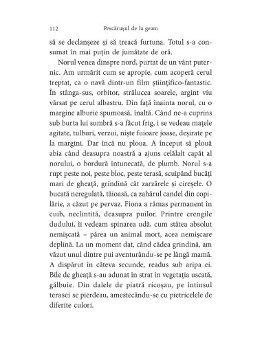 Pescăruşul de la geam