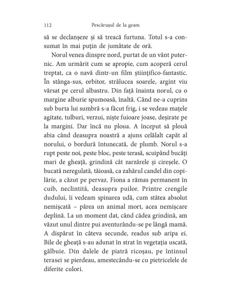 Pescăruşul de la geam