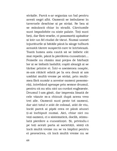 Însemnări de iarnă despre impresii de...