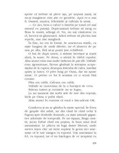 Şoferul din Oz Şoferul din Oz