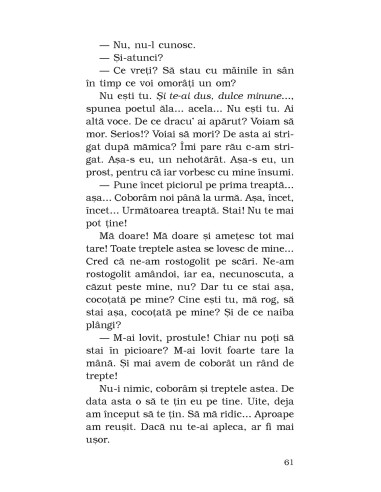 Cu puţin timp înaintea coborârii... Cu puţin timp înaintea coborârii...