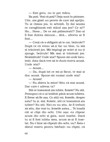 Cu puţin timp înaintea coborârii... Cu puţin timp înaintea coborârii...