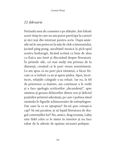 Labiş. Jurnalul pierdut