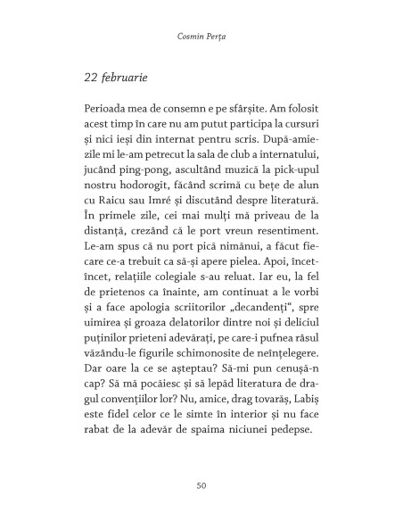 Labiş. Jurnalul pierdut