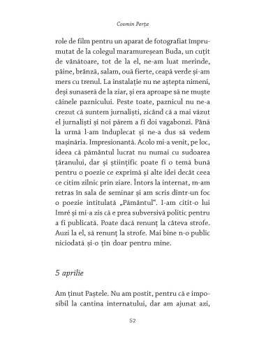 Labiş. Jurnalul pierdut