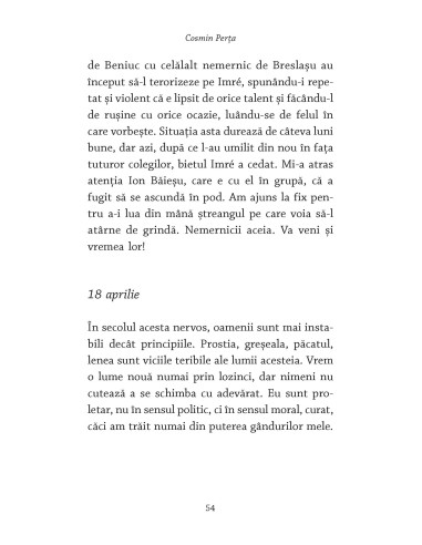 Labiş. Jurnalul pierdut