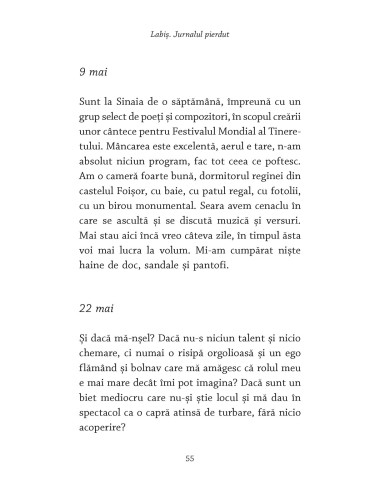 Labiş. Jurnalul pierdut