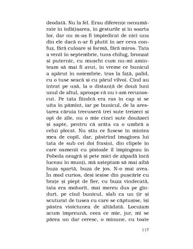 Toate bufniţele Toate bufniţele