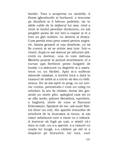 Toate bufniţele Toate bufniţele