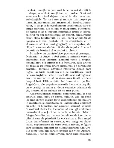 Pământul de sub tălpile ei Pământul de sub tălpile ei