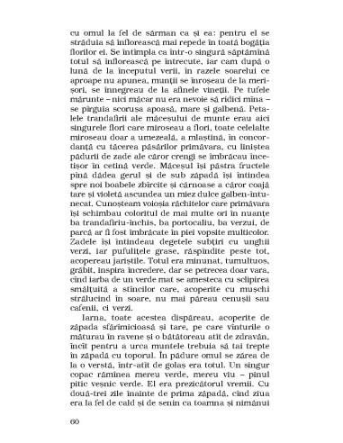 Povestiri din Kolîma (I): Malul stâng