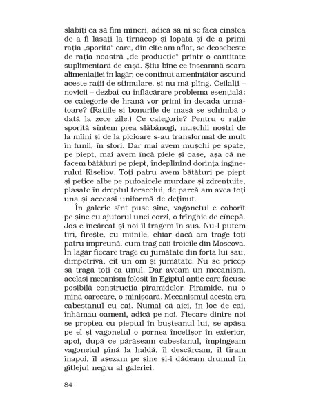 Povestiri din Kolîma (II): Un maestru al lopeții * Schițe despre lumea crimei