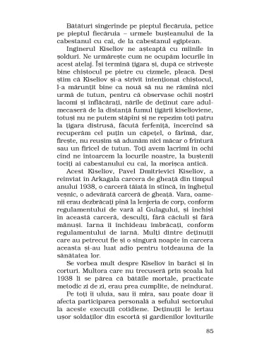 Povestiri din Kolîma (II): Un maestru...