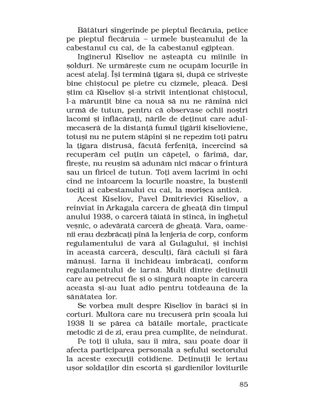 Povestiri din Kolîma (II): Un maestru al lopeții * Schițe despre lumea crimei